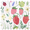 Wee Blue Bell Secret Garden, Rose - Roman Blind